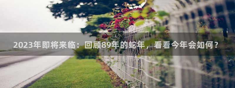 壹号平台app下载安装：2023年即将来临：回顾89年的蛇年，看看今年会如何？