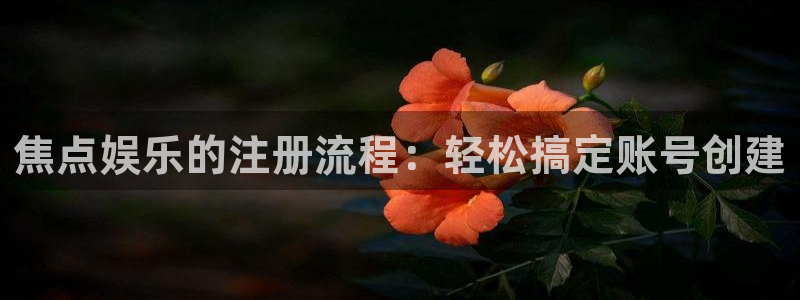 壹号电子娱乐app下载最新版本：焦点娱乐的注册流程：轻松搞定账号创建
