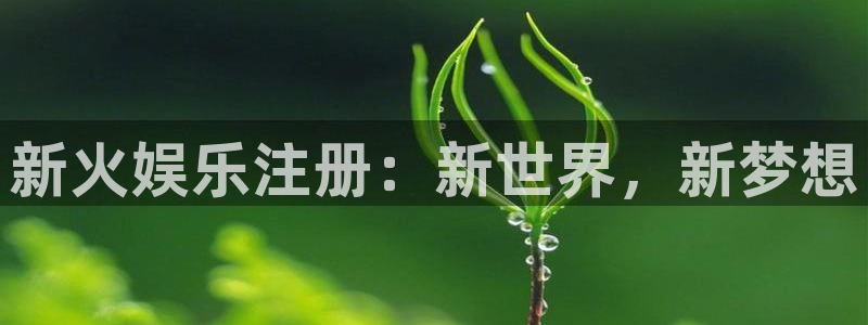 壹号app官方登录入口下载：新火娱乐注册：新世界，新梦想