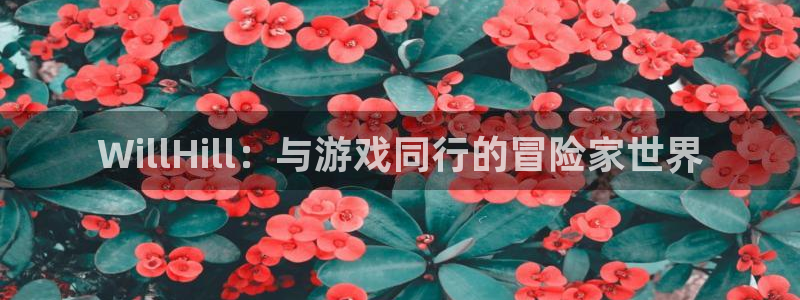 壹号下载官网入口：WillHill：与游戏同行的冒险家世界