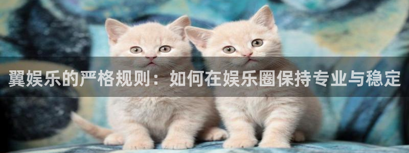 壹号电子娱乐app下载：翼娱乐的严格规则：如何在娱乐圈保持专业与稳定