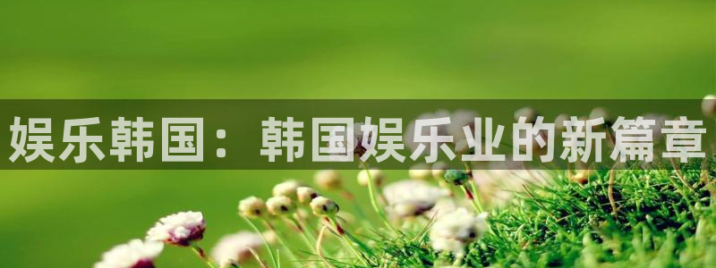 壹号大舞台有梦你就来：娱乐韩国：韩国娱乐业的新篇章