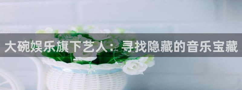 壹号电子娱乐app下载最新版：大碗娱乐旗下艺人：寻找隐藏的音乐宝藏