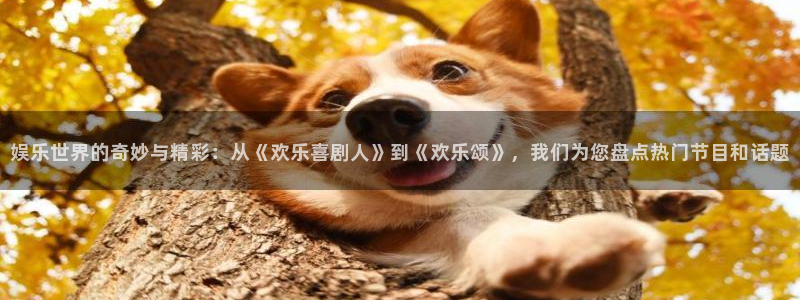 恒行app下载安装：娱乐世界的奇妙与精彩：从《欢乐喜剧人》到《欢乐颂》，我们为您盘点热门节目和话题