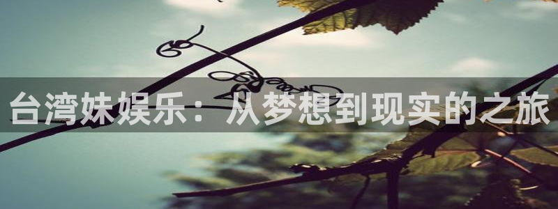 壹号大舞台有梦你就来：台湾妹娱乐：从梦想到现实的之旅
