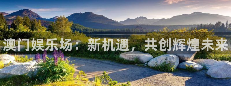 壹号大舞台：澳门娱乐场：新机遇，共创辉煌未来