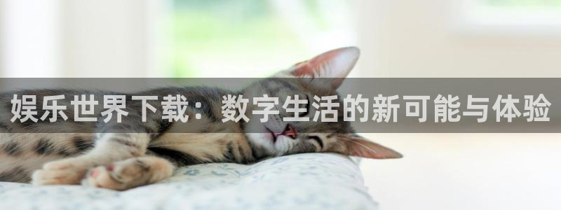 壹号大舞台有梦你就来