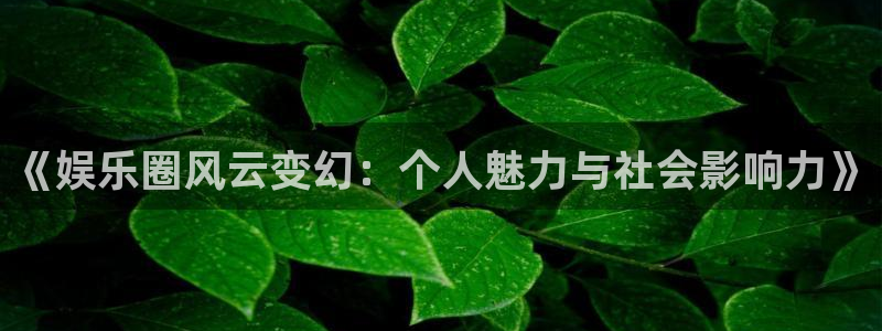 壹号大舞台娱乐传媒：《娱乐圈风云变幻：个人魅力与社会影响力》
