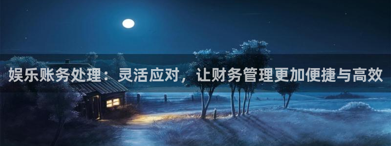恒行下载入口：娱乐账务处理：灵活应对，让财务管理更加便捷与高效